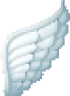 wing